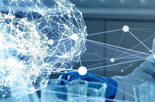 La neurociencia del dolor
