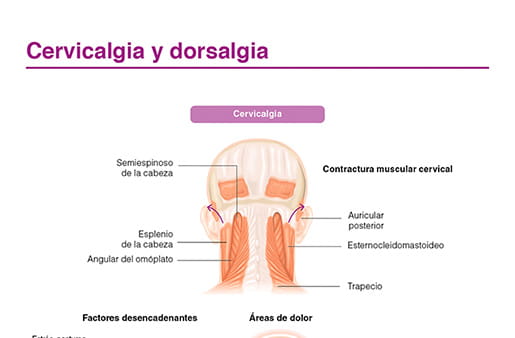 Cervicalgia y dorsalgia