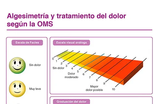 Algesimetría y tratamiento del dolor según la OMS