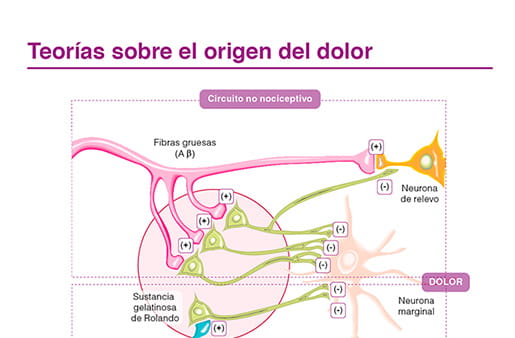 Teorías sobre el origen del dolor