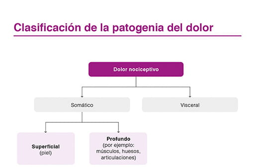 Clasificación de la patogenia del dolor