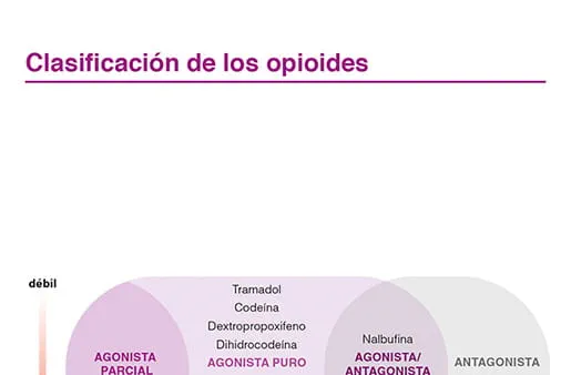 Clasificación de los opioides