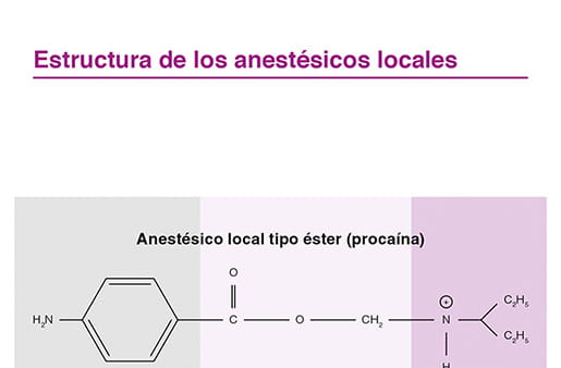 Estructura de los anestésicos locales