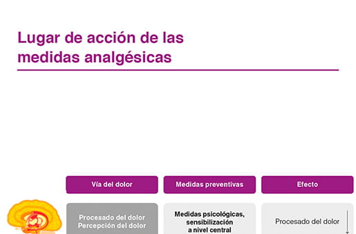 Lugar de acción de las medidas analgésicas