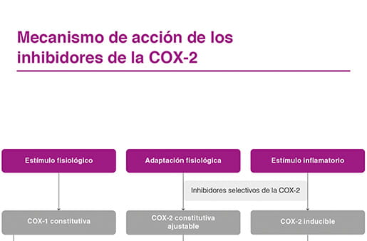 Mecanismo de acción de los inhibidores de la COX-2