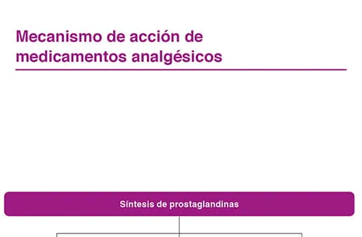 Mecanismo de acción de los medicamentos analgésicos