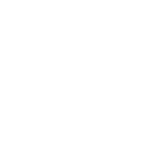 Google Play Store
