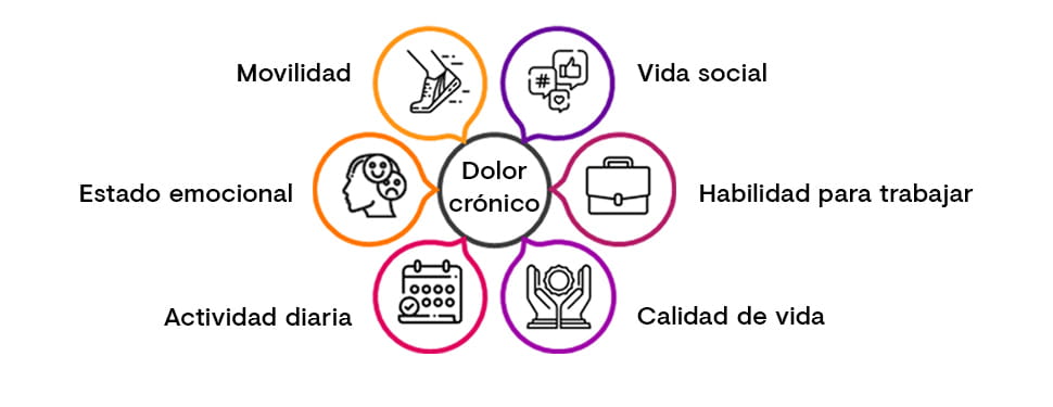 Gráfica 1