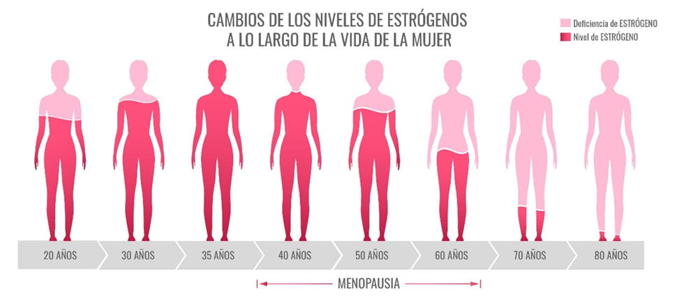 Cambios de los niveles de estrógenos a lo largo de la vida de la mujer