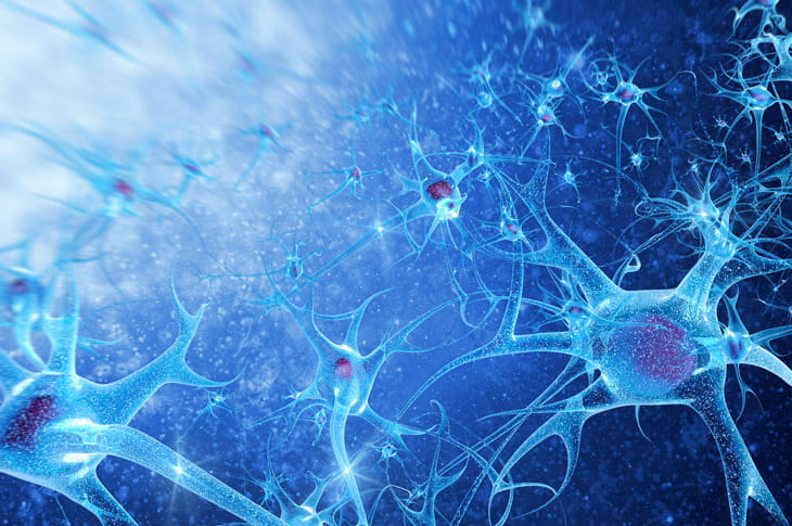 Neurocirugía