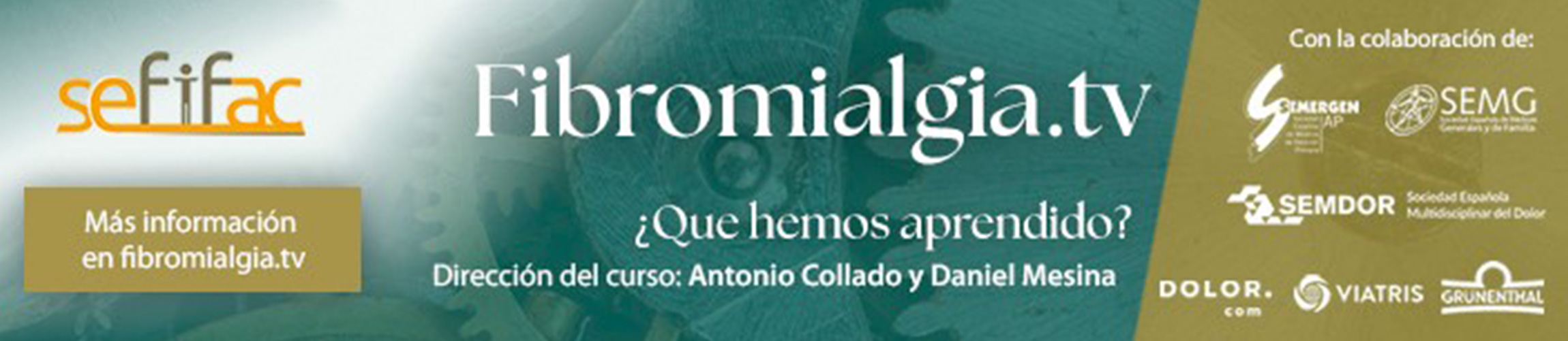 Curso - Fibromialgia.tv: ¿Qué hemos aprendido?