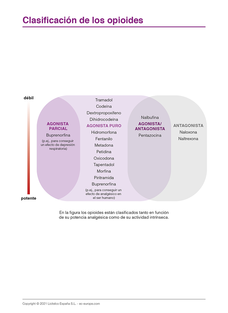 clasificacion de los opioides