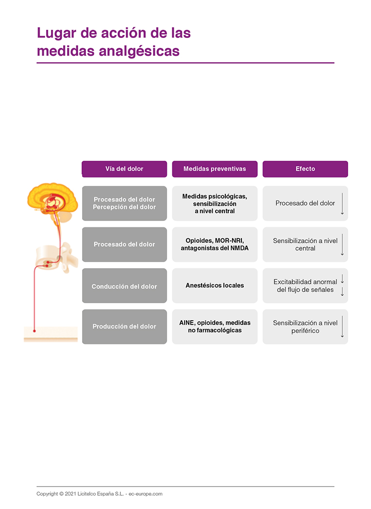 lugar de acción de las medidas analgésicas