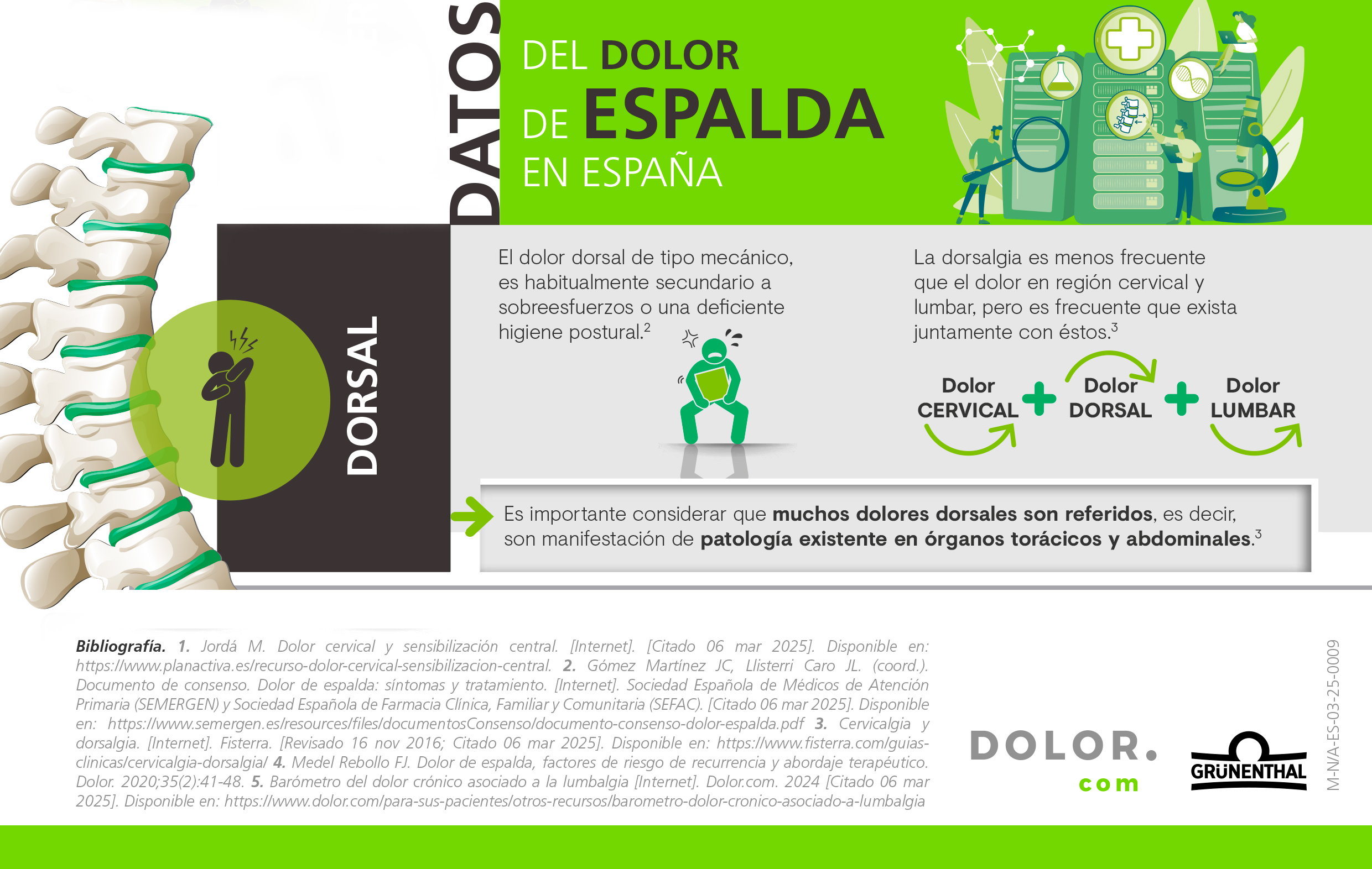 infografía dolor dorsal