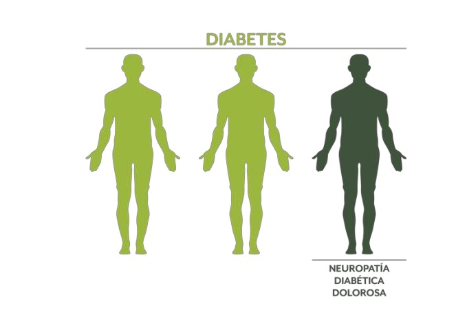 distintos grados cuerpo humano