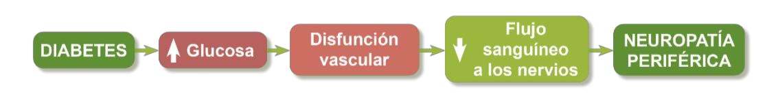 pasos en la diabetes